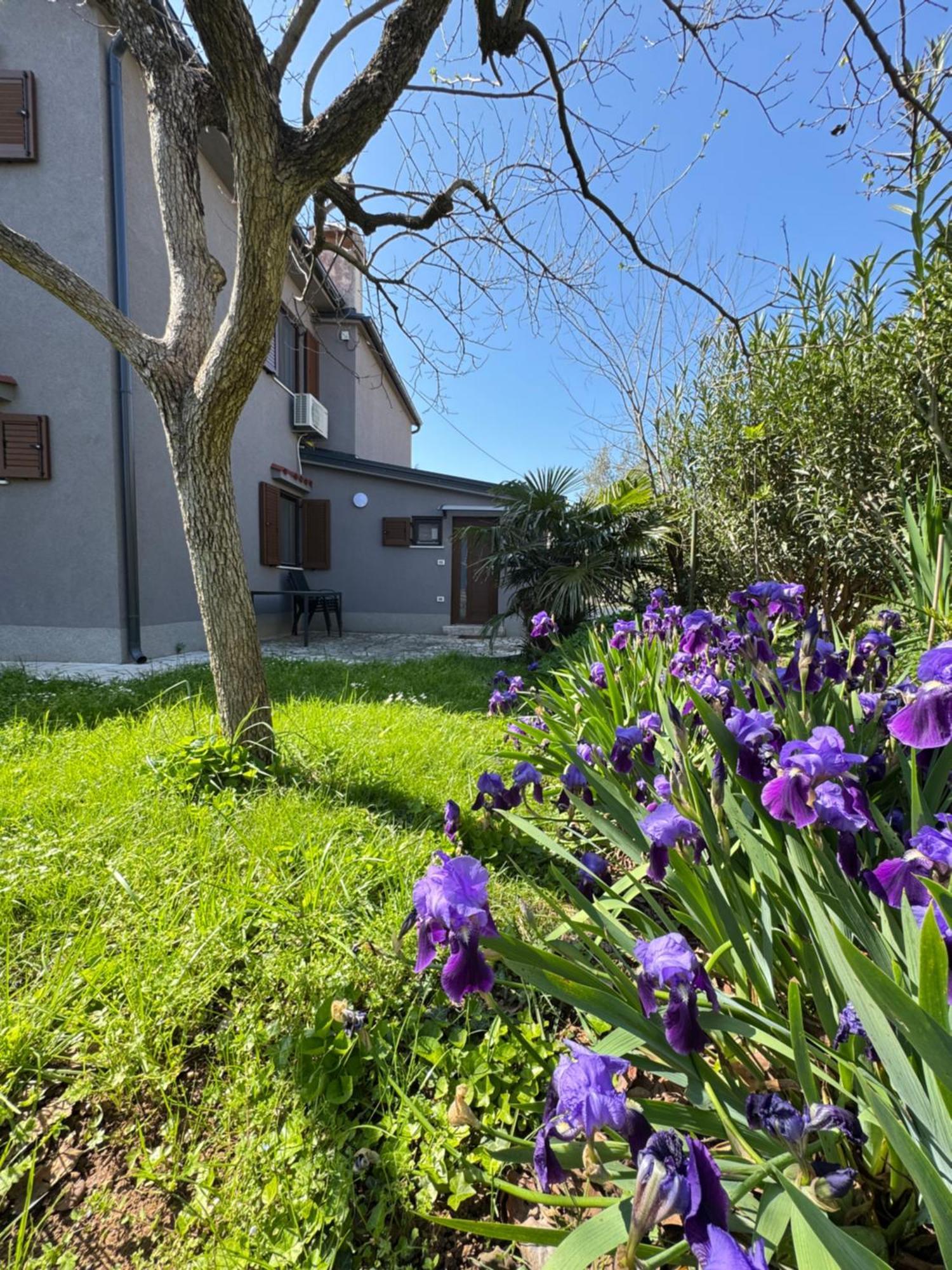 Flowers Apartments Medulin, Fucane 2 Zewnętrze zdjęcie