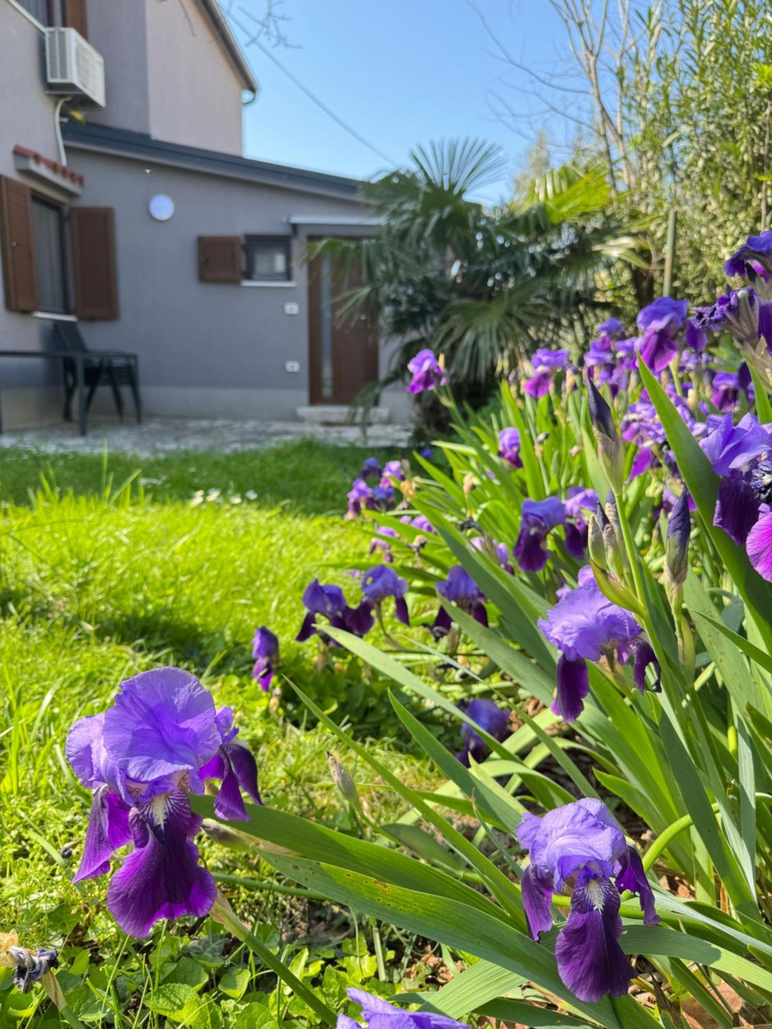 Flowers Apartments Medulin, Fucane 2 Zewnętrze zdjęcie