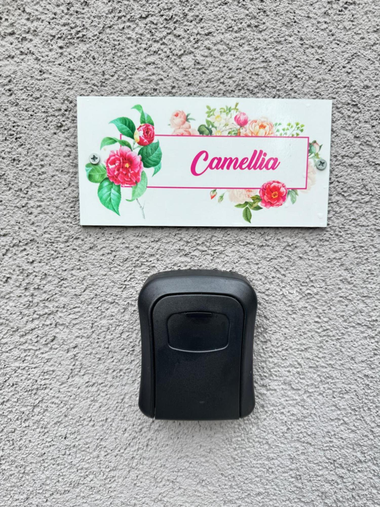 Flowers Apartments Medulin, Fucane 2 Zewnętrze zdjęcie